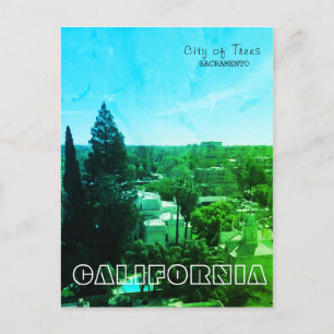 Cartão Postal Cidade das Árvores