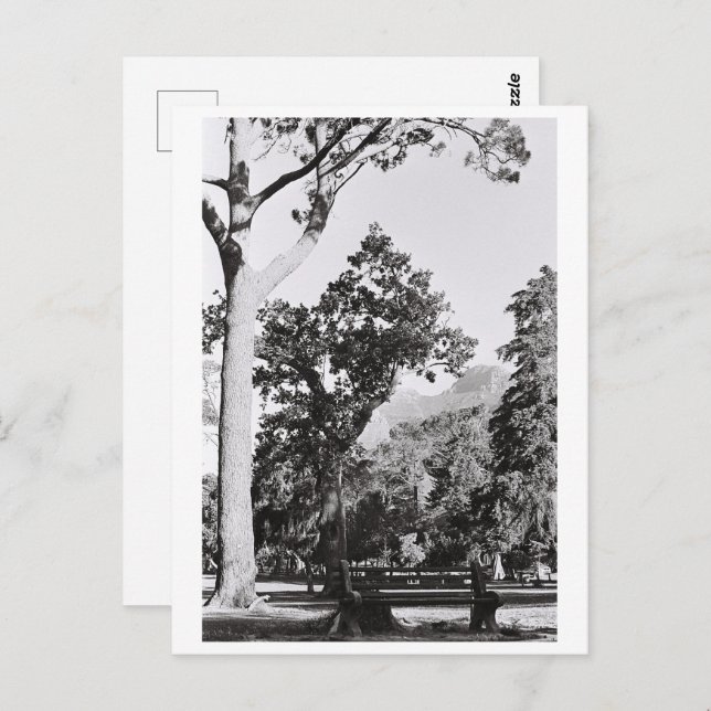 Cartão Postal Cidade do Cabo Natureza Montanha África do Sul ZA (Frente/Verso)