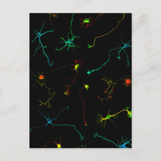 Cartão Postal ciência