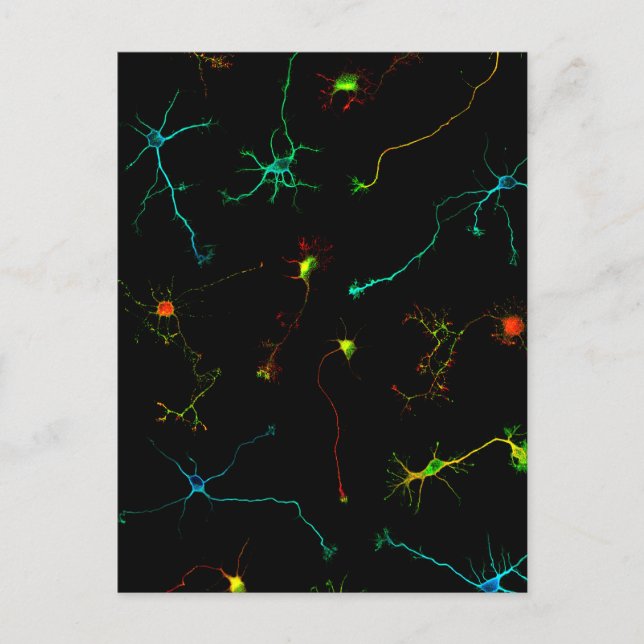 Cartão Postal ciência (Frente)