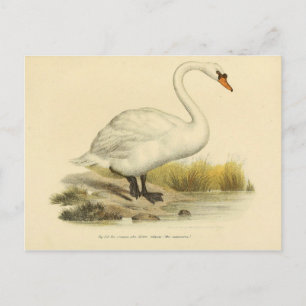 Cartão Postal Ciência da ilustração