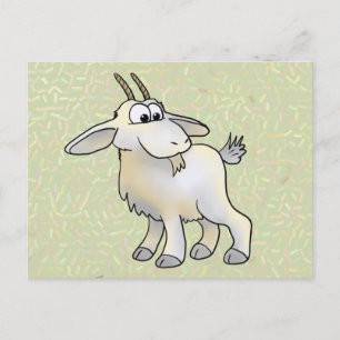 Cartão Postal cigana