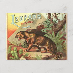 Cartão Postal Cigarro Leopardo 1900