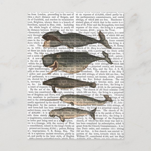 Cartão Postal Cinco baleias Vintage (Frente)