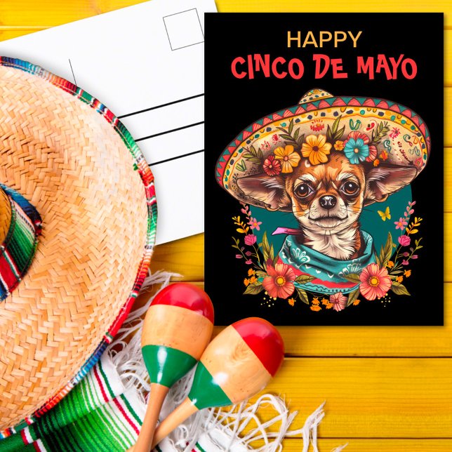 Cartão Postal Cinco de Mayo Chihuahua Vestindo Sombrero & Serape (Criador carregado)