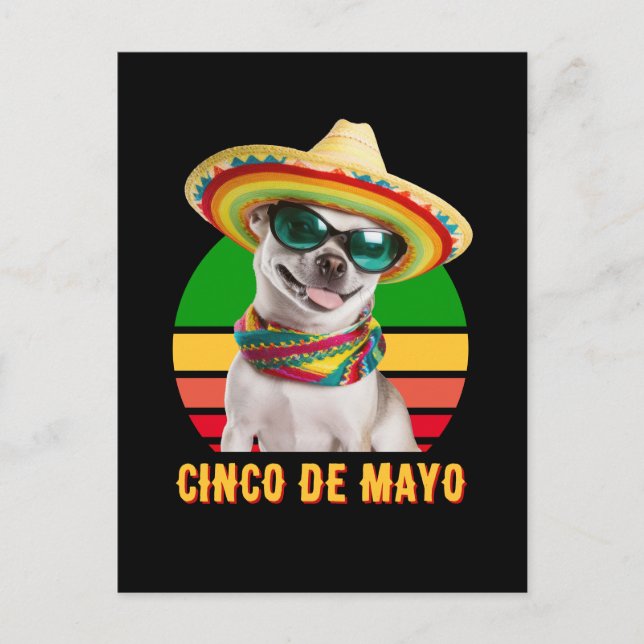 Cartão Postal Cinco De Mayo Sombrero Chihuahua com Óculos De Sol (Frente)