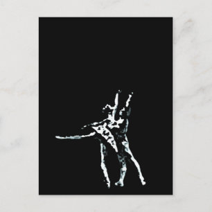 Cartão Postal Cinderela