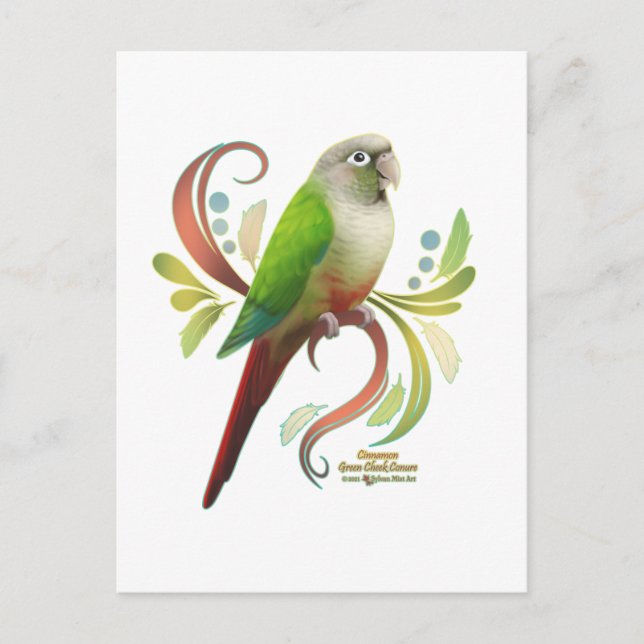 Cartão Postal Cinnamon Green Cheek Conure (Frente)