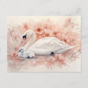 Cartão Postal Cinto de Cisne e Flores Rosa Esmagadas