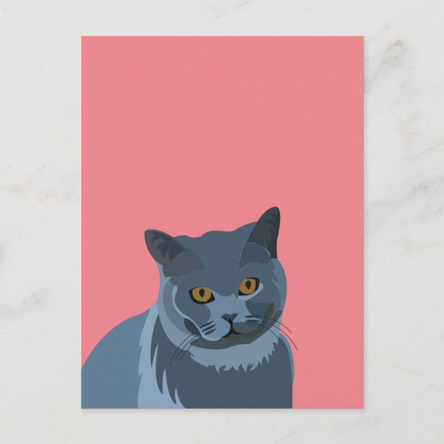 Cartão Postal Cinza Azul, Gato (Frente)