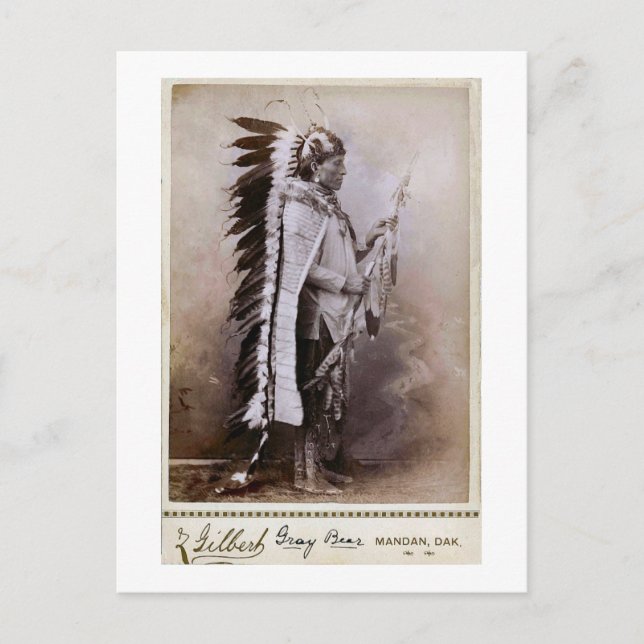 Cartão Postal Cinza Bear 1880 (Frente)