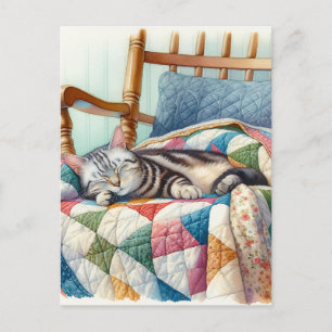Cartão Postal Cinza doce Gato dormindo em uma maré