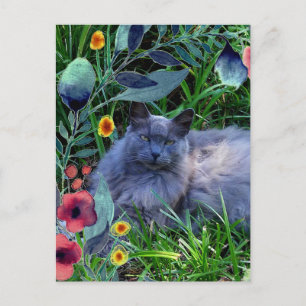 Cartão Postal Cinza Fluffy Cat em Jardim com Flores