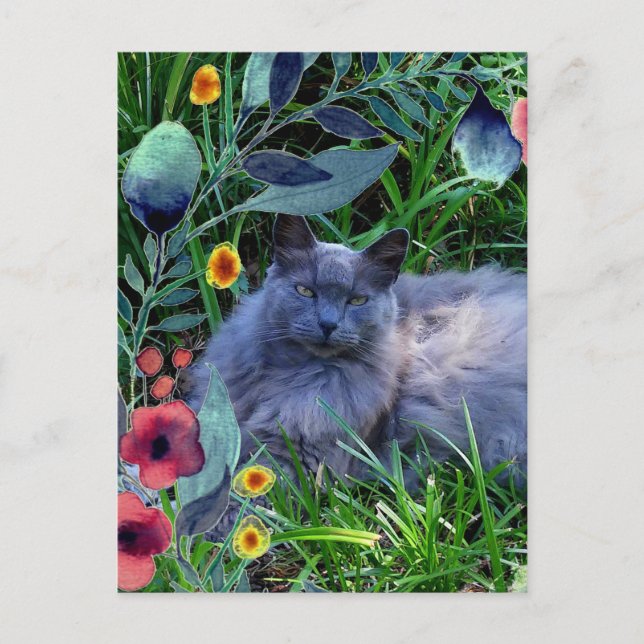 Cartão Postal Cinza Fluffy Cat em Jardim com Flores (Frente)