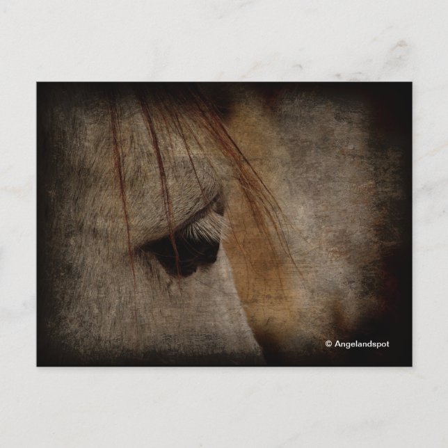 Cartão Postal Cinza Horse Grunge (Frente)