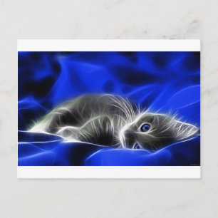 Cartão Postal Cinza Kitten Awakes