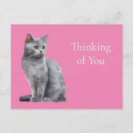 Cartão Postal Cinza rosa Gato pensando em você