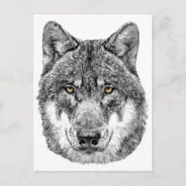 Cartão Postal Cinza Wolf