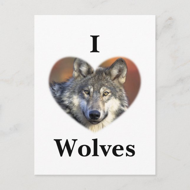 Cartão Postal Cinza Wolf (Frente)