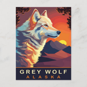 Cartão Postal Cinza Wolf, Alasca, Sunset nas Montanhas, Viagem