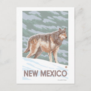 Cartão Postal Cinza Wolf em pé no Novo México
