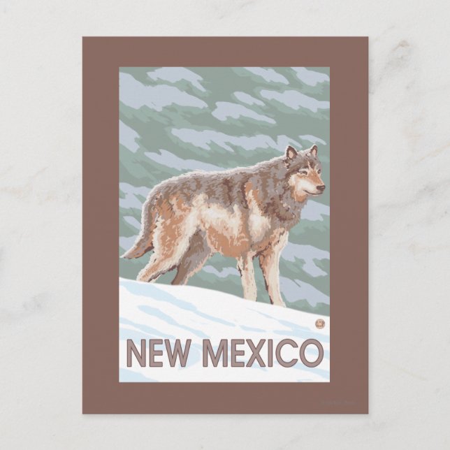 Cartão Postal Cinza Wolf em pé no Novo México (Frente)