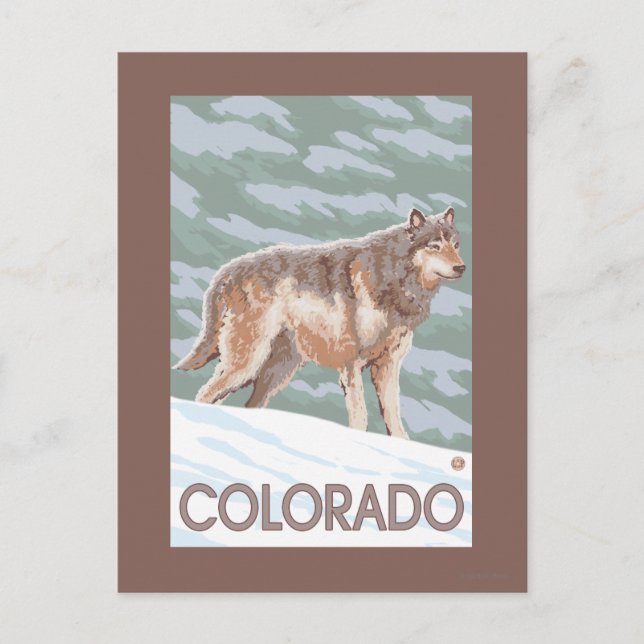 Cartão Postal Cinza Wolf WaitColorado (Frente)