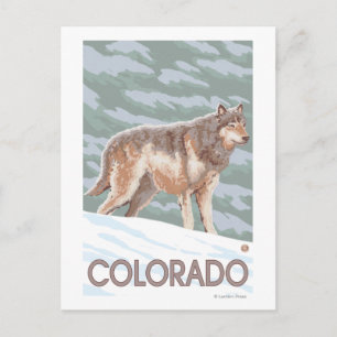 Cartão Postal Cinza Wolf WaitColorado