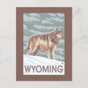 Cartão Postal Cinza Wolf WaitWyoming