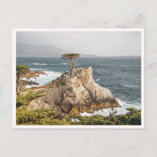 Cartão Postal Cipreste Solitário Pebble Beach Monterey Foto