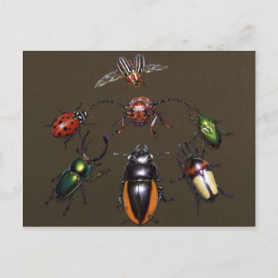 Cartão Postal Círculo Beetle da Fantasia