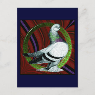 Cartão Postal Círculo Berliner Pigeon