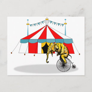 Cartão Postal Circus Memorabilia Em Memória dos Elefantes de Cir