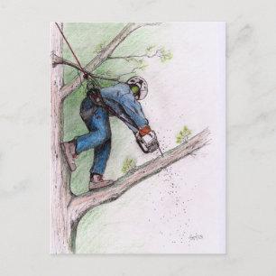 Cartão Postal Cirurgião Árvore Arborista