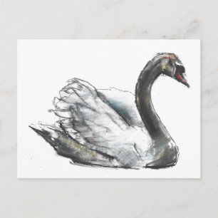 Cartão Postal Cisne