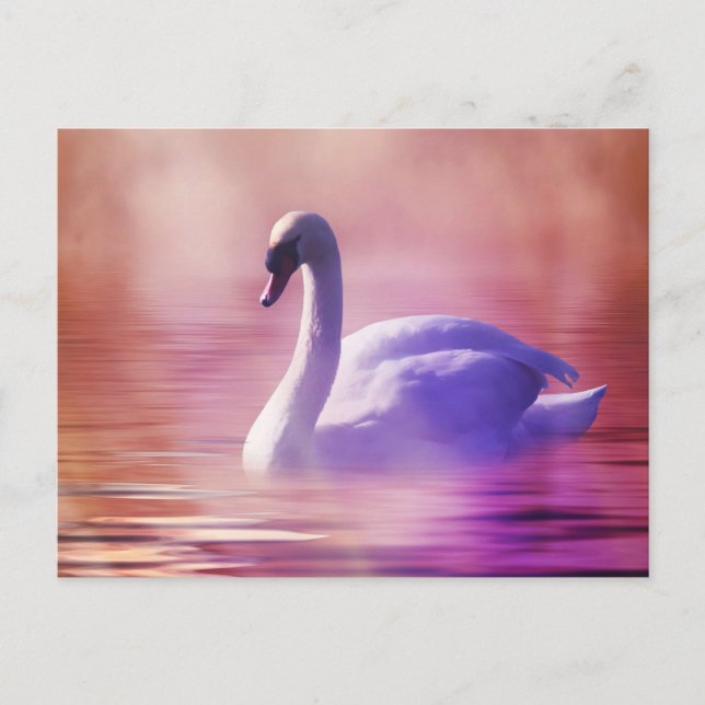 Cartão Postal Cisne Branco flutuando em um lago enevoado (Frente)