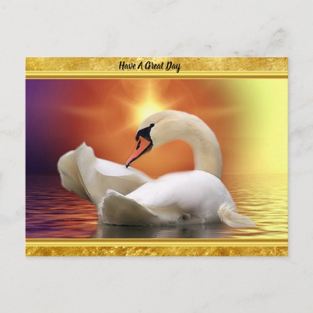 Cartão Postal Cisne branco num lago com um pôr do sol laranja (Frente)