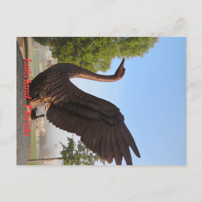 Cartão Postal Cisne em Voo Lakeland, Flórida (Frente)