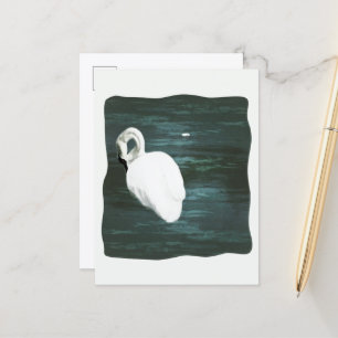 Cartão Postal Cisne no Lago