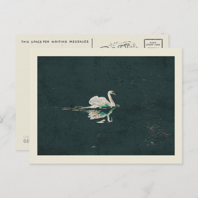 Cartão Postal Cisne num lago (Frente/Verso)