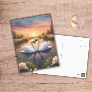 Cartão Postal Cisnes Adoráveis