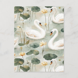 Cartão Postal Cisnes elegantes