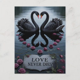 Cartão Postal Cisnes Pretos Românticos Reflexo do Coração com Te