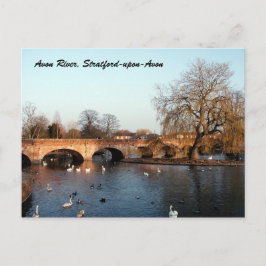 Cartão Postal Cisnes sobre o rio Avon, Stratford-on-Avon