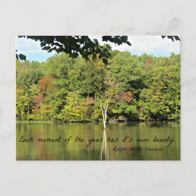 Cartão Postal Citação das estações por R.W. Emerson (Frente)