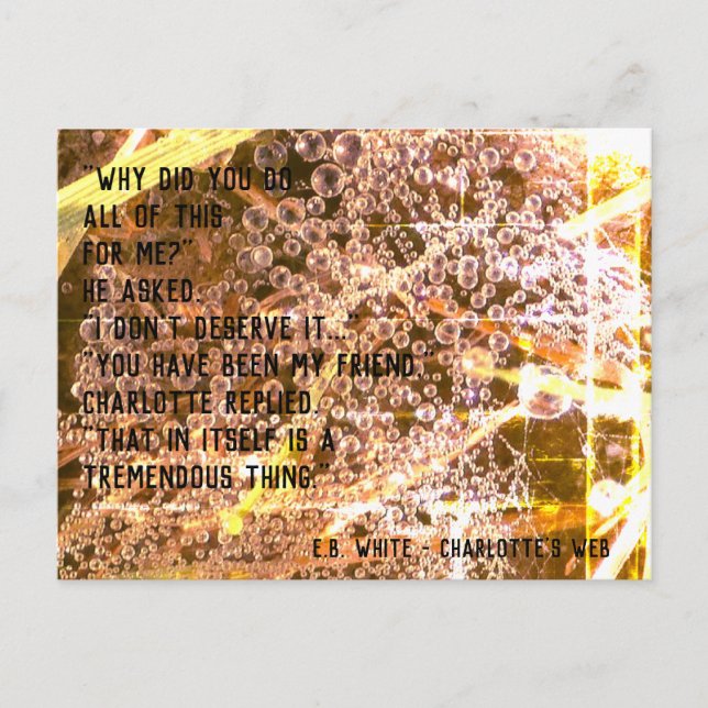 Cartão Postal Citação de Amizade Personalizável - A Teia de Char (Frente)