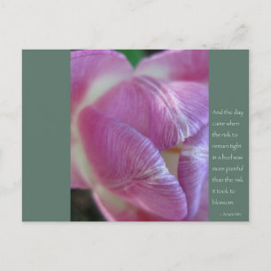 Cartão Postal Citação de Anais Nin