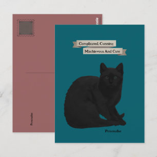 Cartão Postal Citação Misteriosa de Gato Preto Teal Rosa Pessoal