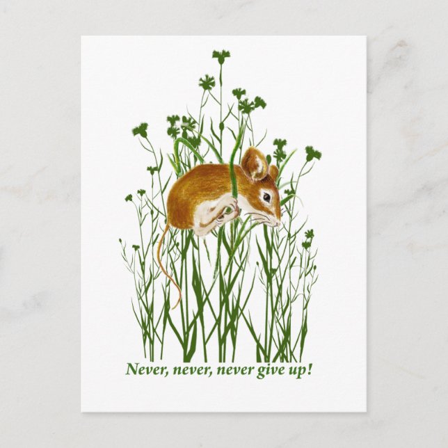 Cartão Postal Citação Motivacional do Rato Cujo Rato Nunca Desis (Frente)