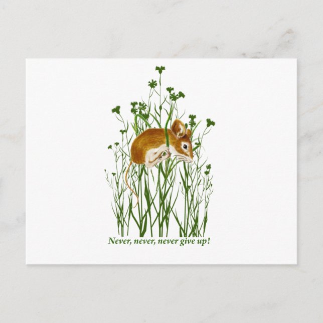 Cartão Postal Citação Motivacional do Rato Cujo Rato Nunca Desis (Frente)